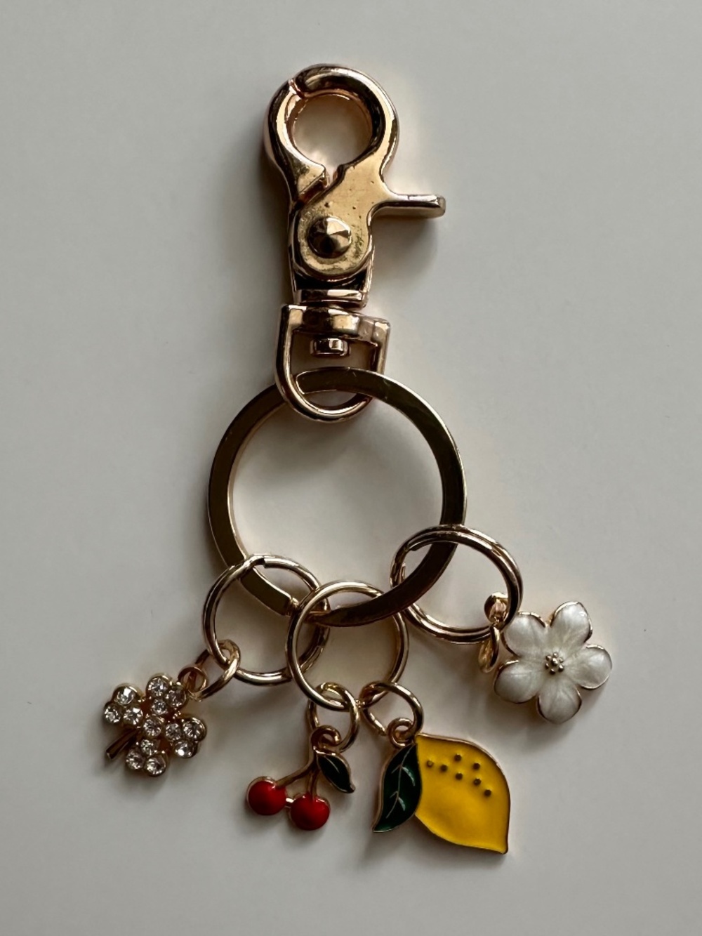 Clip Keychain with Charms